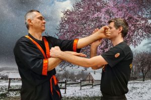 Wing tsun kung fu Újbuda klubban Budapesten újbudán kung-fu gyakorlás téli favirágzásnál